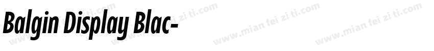 Balgin Display Blac字体转换